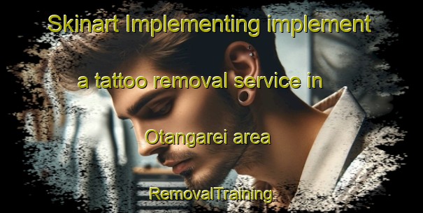 Skinart Implementing implement a tattoo removal service in Otangarei area | RemovalTraining | RemovalClasses | SkinartTraining-New Zealand