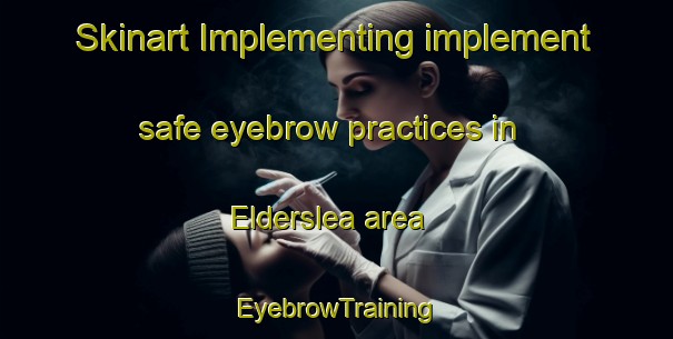 Skinart Implementing implement safe eyebrow practices in Elderslea area | EyebrowTraining | EyebrowClasses | SkinartTraining-New Zealand