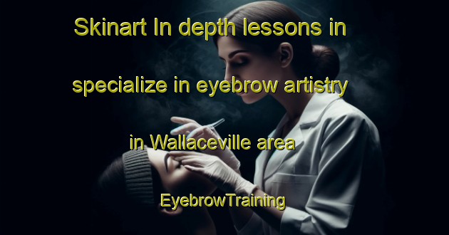 Skinart In-depth lessons in specialize in eyebrow artistry in Wallaceville area | EyebrowTraining | EyebrowClasses | SkinartTraining-New Zealand