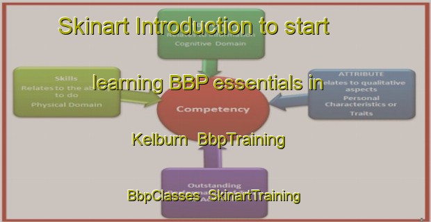 Skinart Introduction to start learning BBP essentials in Kelburn | BbpTraining | BbpClasses | SkinartTraining-New Zealand