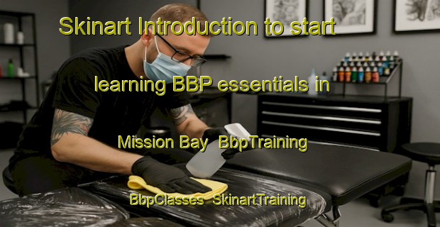 Skinart Introduction to start learning BBP essentials in Mission Bay | BbpTraining | BbpClasses | SkinartTraining-New Zealand