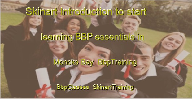 Skinart Introduction to start learning BBP essentials in Moncks Bay | BbpTraining | BbpClasses | SkinartTraining-New Zealand