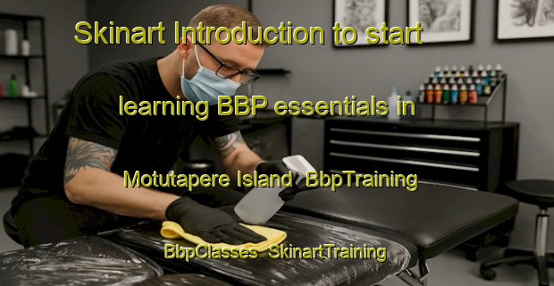 Skinart Introduction to start learning BBP essentials in Motutapere Island | BbpTraining | BbpClasses | SkinartTraining-New Zealand