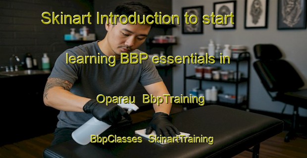 Skinart Introduction to start learning BBP essentials in Oparau | BbpTraining | BbpClasses | SkinartTraining-New Zealand
