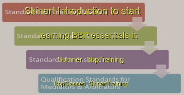 Skinart Introduction to start learning BBP essentials in Sumner | BbpTraining | BbpClasses | SkinartTraining-New Zealand