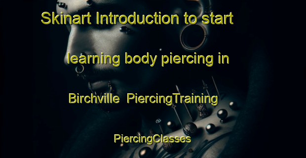 Skinart Introduction to start learning body piercing in Birchville | #PiercingTraining #PiercingClasses #SkinartTraining-New Zealand