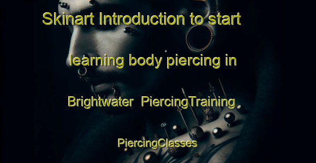 Skinart Introduction to start learning body piercing in Brightwater | #PiercingTraining #PiercingClasses #SkinartTraining-New Zealand