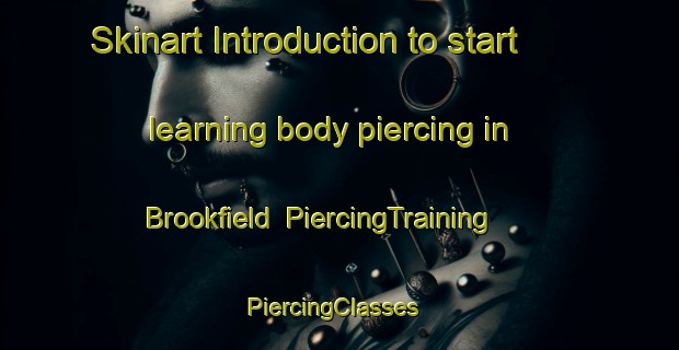 Skinart Introduction to start learning body piercing in Brookfield | PiercingTraining | PiercingClasses | SkinartTraining-New Zealand