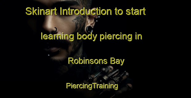 Skinart Introduction to start learning body piercing in Robinsons Bay | PiercingTraining | PiercingClasses | SkinartTraining-New Zealand