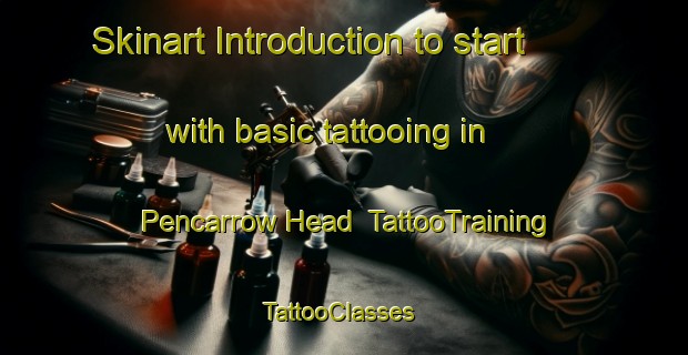 Skinart Introduction to start with basic tattooing in Pencarrow Head | TattooTraining | TattooClasses | SkinartTraining-New Zealand