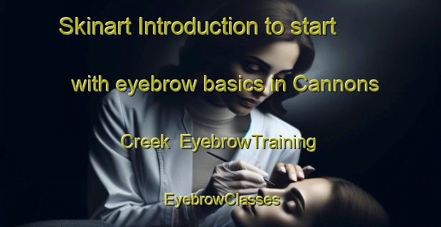 Skinart Introduction to start with eyebrow basics in Cannons Creek | EyebrowTraining | EyebrowClasses | SkinartTraining-New Zealand