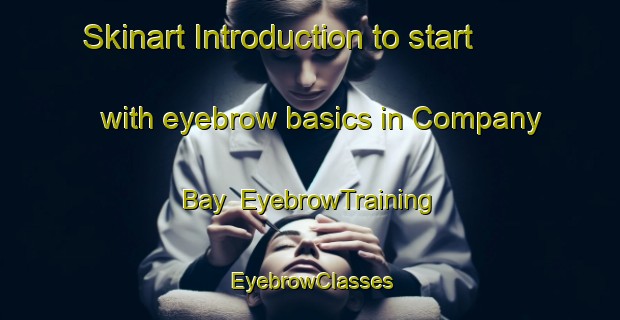Skinart Introduction to start with eyebrow basics in Company Bay | EyebrowTraining | EyebrowClasses | SkinartTraining-New Zealand
