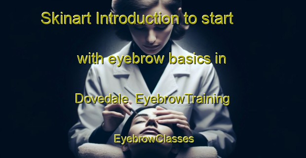 Skinart Introduction to start with eyebrow basics in Dovedale | EyebrowTraining | EyebrowClasses | SkinartTraining-New Zealand
