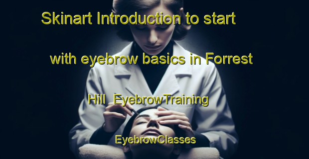 Skinart Introduction to start with eyebrow basics in Forrest Hill | EyebrowTraining | EyebrowClasses | SkinartTraining-New Zealand