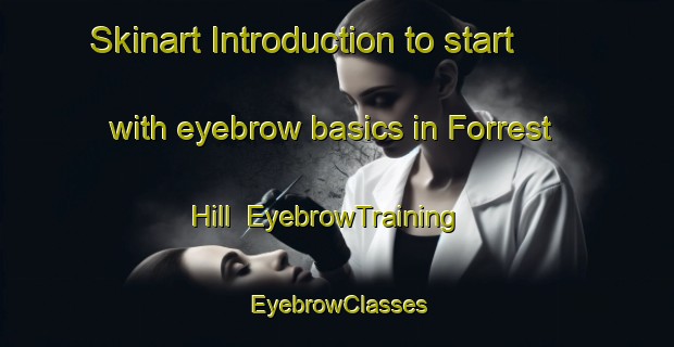 Skinart Introduction to start with eyebrow basics in Forrest Hill | EyebrowTraining | EyebrowClasses | SkinartTraining-New Zealand