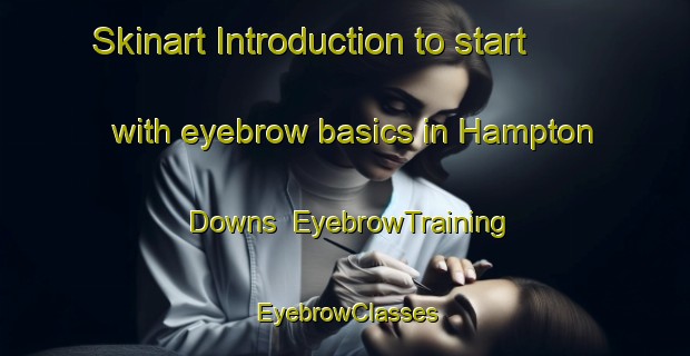 Skinart Introduction to start with eyebrow basics in Hampton Downs | EyebrowTraining | EyebrowClasses | SkinartTraining-New Zealand