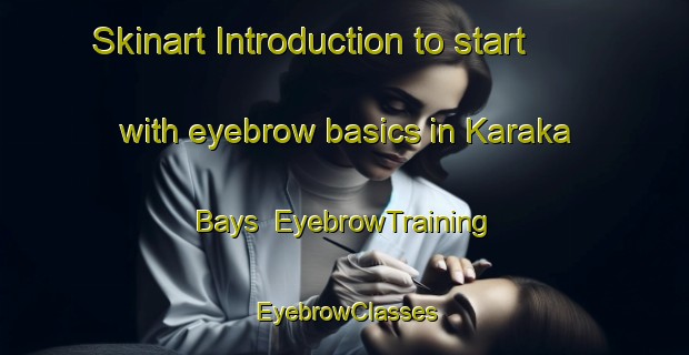 Skinart Introduction to start with eyebrow basics in Karaka Bays | EyebrowTraining | EyebrowClasses | SkinartTraining-New Zealand