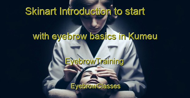 Skinart Introduction to start with eyebrow basics in Kumeu | EyebrowTraining | EyebrowClasses | SkinartTraining-New Zealand