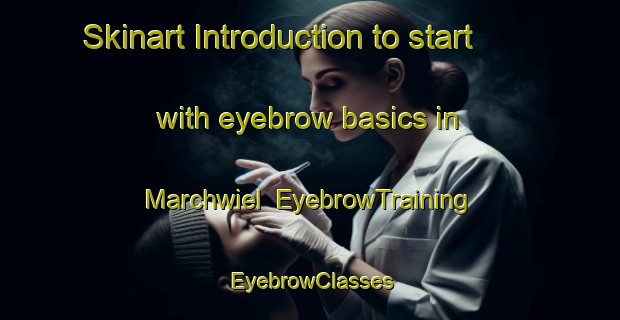 Skinart Introduction to start with eyebrow basics in Marchwiel | EyebrowTraining | EyebrowClasses | SkinartTraining-New Zealand