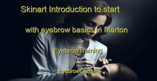 Skinart Introduction to start with eyebrow basics in Marton | EyebrowTraining | EyebrowClasses | SkinartTraining-New Zealand