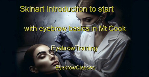 Skinart Introduction to start with eyebrow basics in Mt Cook | EyebrowTraining | EyebrowClasses | SkinartTraining-New Zealand