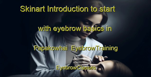 Skinart Introduction to start with eyebrow basics in Papakowhai | EyebrowTraining | EyebrowClasses | SkinartTraining-New Zealand