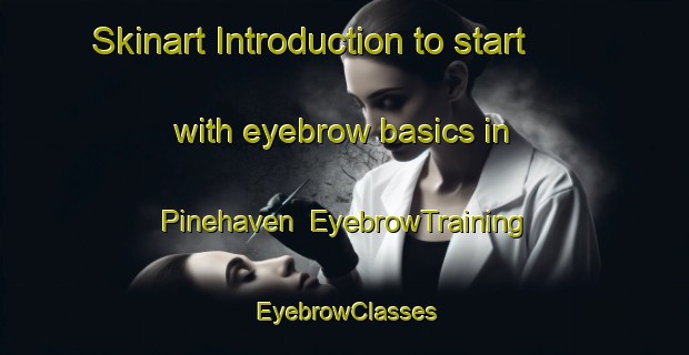 Skinart Introduction to start with eyebrow basics in Pinehaven | EyebrowTraining | EyebrowClasses | SkinartTraining-New Zealand