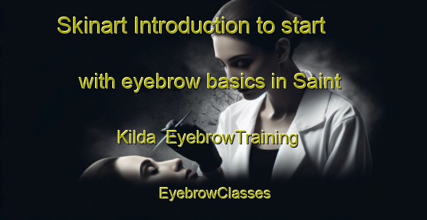 Skinart Introduction to start with eyebrow basics in Saint Kilda | EyebrowTraining | EyebrowClasses | SkinartTraining-New Zealand