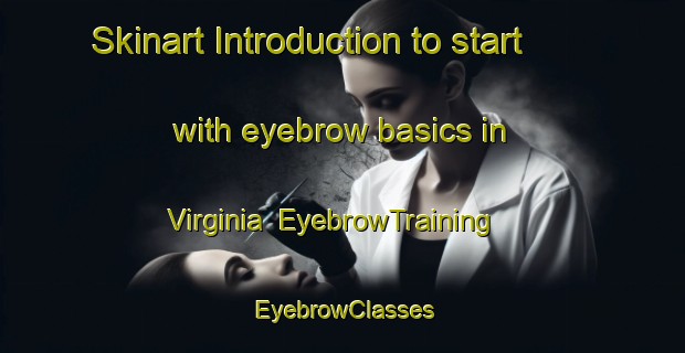 Skinart Introduction to start with eyebrow basics in Virginia | EyebrowTraining | EyebrowClasses | SkinartTraining-New Zealand