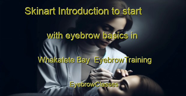 Skinart Introduction to start with eyebrow basics in Whakatete Bay | EyebrowTraining | EyebrowClasses | SkinartTraining-New Zealand