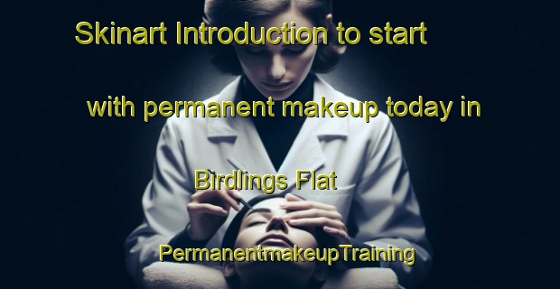 Skinart Introduction to start with permanent makeup today in Birdlings Flat | PermanentmakeupTraining | PermanentmakeupClasses | SkinartTraining-New Zealand