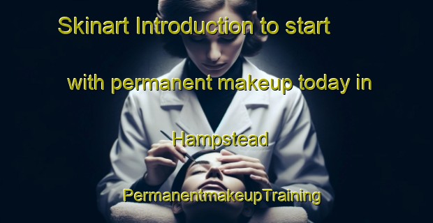 Skinart Introduction to start with permanent makeup today in Hampstead | PermanentmakeupTraining | PermanentmakeupClasses | SkinartTraining-New Zealand