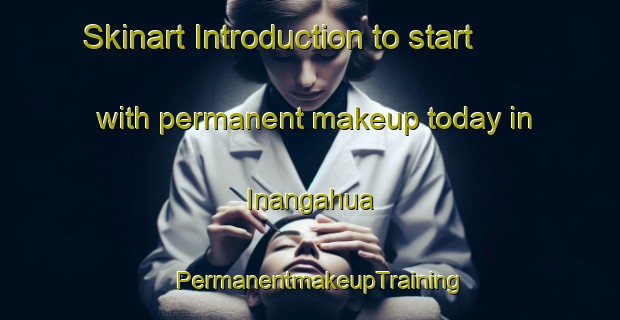 Skinart Introduction to start with permanent makeup today in Inangahua | PermanentmakeupTraining | PermanentmakeupClasses | SkinartTraining-New Zealand