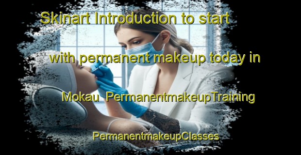 Skinart Introduction to start with permanent makeup today in Mokau | PermanentmakeupTraining | PermanentmakeupClasses | SkinartTraining-New Zealand
