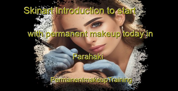 Skinart Introduction to start with permanent makeup today in Parahaki | PermanentmakeupTraining | PermanentmakeupClasses | SkinartTraining-New Zealand