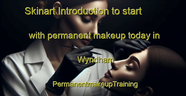 Skinart Introduction to start with permanent makeup today in Wyndham | PermanentmakeupTraining | PermanentmakeupClasses | SkinartTraining-New Zealand