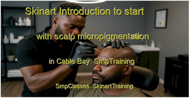 Skinart Introduction to start with scalp micropigmentation in Cable Bay | SmpTraining | SmpClasses | SkinartTraining-New Zealand