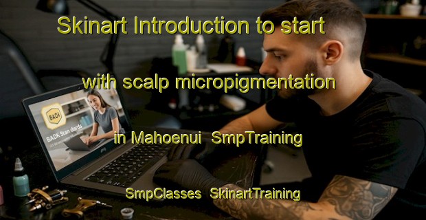 Skinart Introduction to start with scalp micropigmentation in Mahoenui | SmpTraining | SmpClasses | SkinartTraining-New Zealand