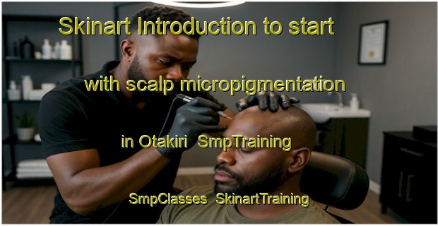 Skinart Introduction to start with scalp micropigmentation in Otakiri | SmpTraining | SmpClasses | SkinartTraining-New Zealand