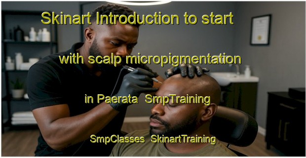 Skinart Introduction to start with scalp micropigmentation in Paerata | SmpTraining | SmpClasses | SkinartTraining-New Zealand