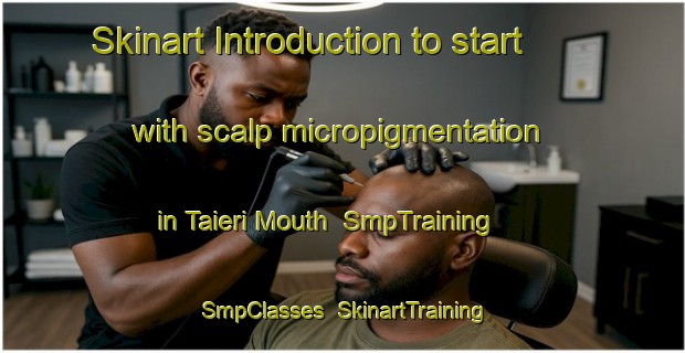 Skinart Introduction to start with scalp micropigmentation in Taieri Mouth | SmpTraining | SmpClasses | SkinartTraining-New Zealand
