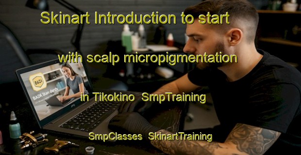 Skinart Introduction to start with scalp micropigmentation in Tikokino | SmpTraining | SmpClasses | SkinartTraining-New Zealand