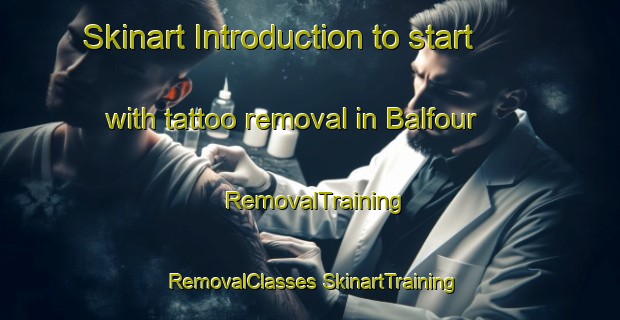 Skinart Introduction to start with tattoo removal in Balfour | #RemovalTraining #RemovalClasses #SkinartTraining-New Zealand