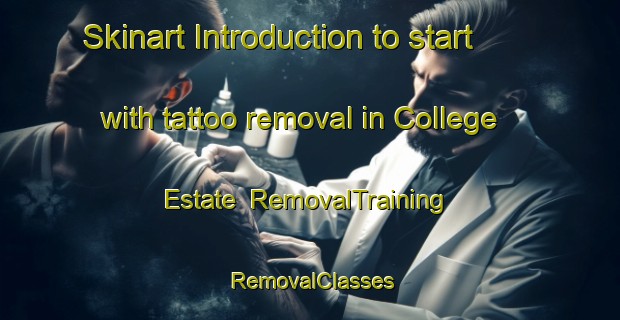 Skinart Introduction to start with tattoo removal in College Estate | RemovalTraining | RemovalClasses | SkinartTraining-New Zealand