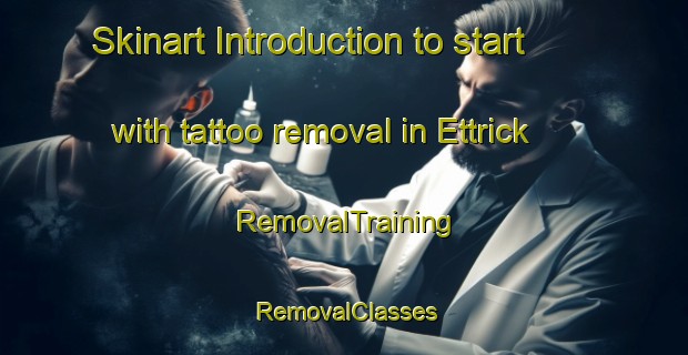 Skinart Introduction to start with tattoo removal in Ettrick | RemovalTraining | RemovalClasses | SkinartTraining-New Zealand