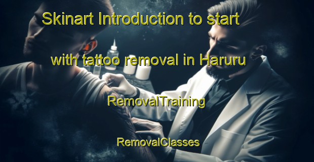 Skinart Introduction to start with tattoo removal in Haruru | RemovalTraining | RemovalClasses | SkinartTraining-New Zealand