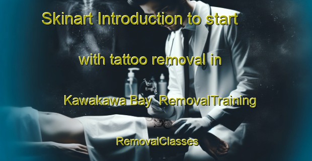 Skinart Introduction to start with tattoo removal in Kawakawa Bay | RemovalTraining | RemovalClasses | SkinartTraining-New Zealand