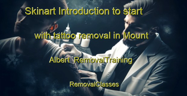 Skinart Introduction to start with tattoo removal in Mount Albert | RemovalTraining | RemovalClasses | SkinartTraining-New Zealand