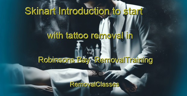 Skinart Introduction to start with tattoo removal in Robinsons Bay | RemovalTraining | RemovalClasses | SkinartTraining-New Zealand