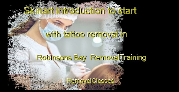 Skinart Introduction to start with tattoo removal in Robinsons Bay | RemovalTraining | RemovalClasses | SkinartTraining-New Zealand
